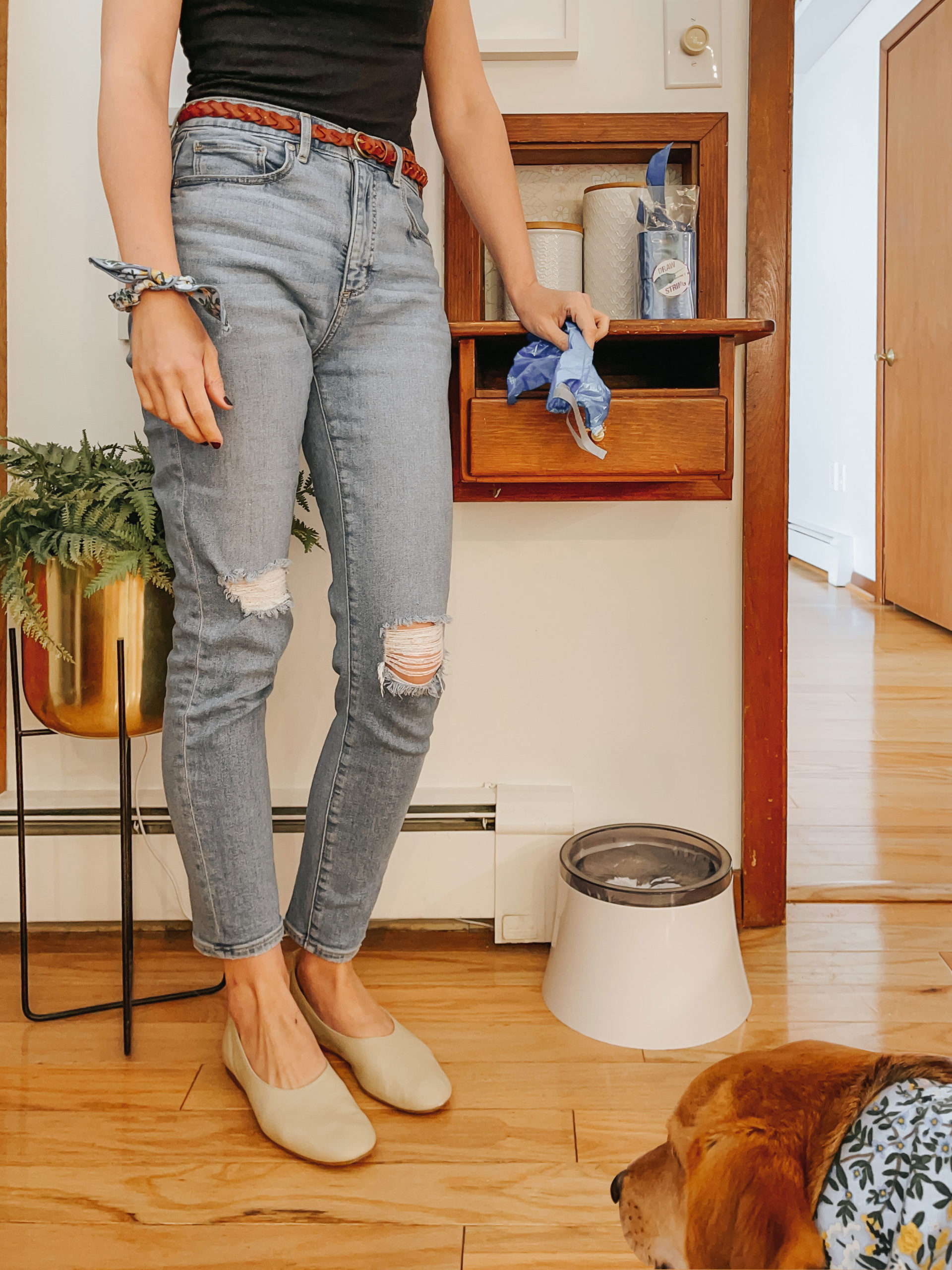 #AD | Top Pet Picks For Our New Rescue Pup | FEATURING: Natural Care, @eufyofficial, @multipet265, @pioneerpetprod #PupPrep4SpringBBxx